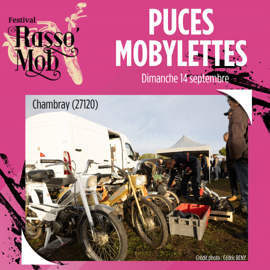 Affiche Rasso Mob les puces mobylettes